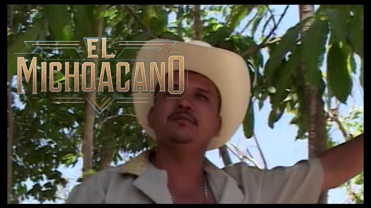 EL VALE DEL SUR - EL MICHOACANO