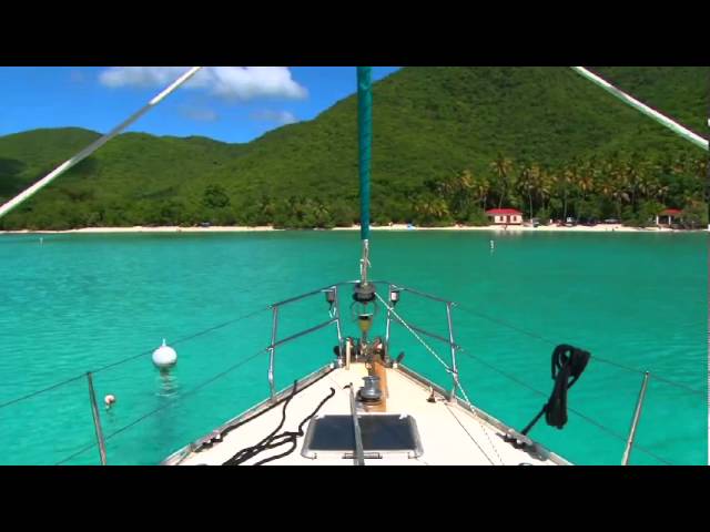 ‘Lucky’ the Parrot visits Maho Bay, St John in the Caribbean!