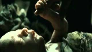15sec.flv