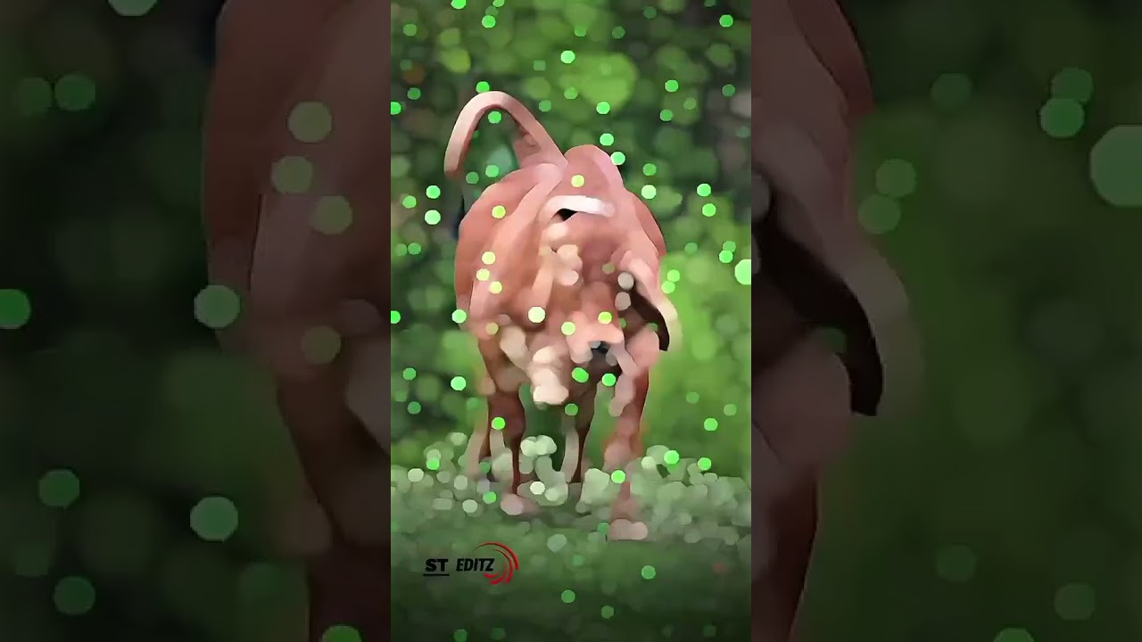 Vishal Vishal hot Chandrama 💔💔❤️❤️🥰🥰