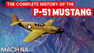 The Most Legendary Allied Fighter of WWII | P-51 Mustang | Classic U.S. Aircraft