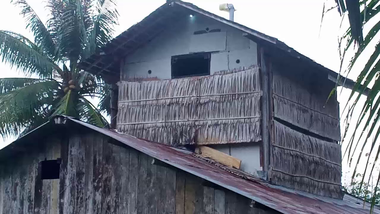 MUSIM CUEK RESPON TIPIS ALHAMDULILAH BW MASIH MAU