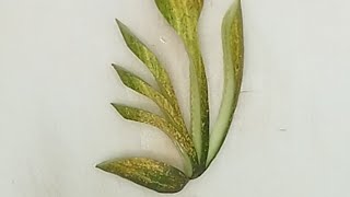 Cucumber and Banana fruit cutting 6 super ideas Part 423