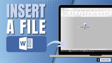 How To Insert A File Within A Word Document | Link Or Embed Attached Files In Word (2024)