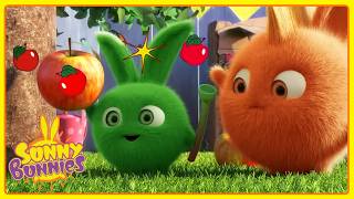 Hopper Finds a Magic Flute 🪈 | Sunny Bunnies | Funny Cartoons For Kids