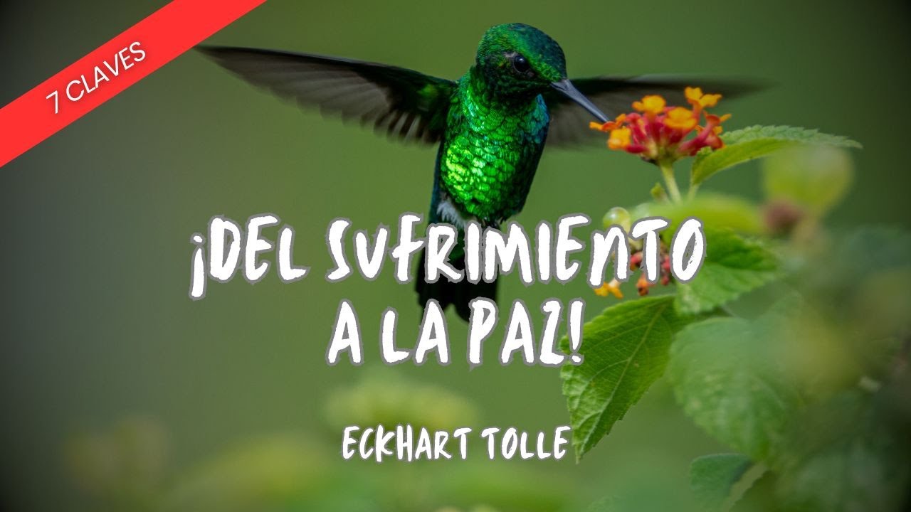 5 claves de Eckhart Tolle para sanar el dolor emocional y encontrar paz ...