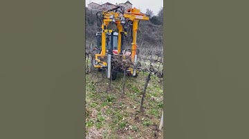 Pre Pruner For Vineyards || Made By Cellier Boisset France || #shorts