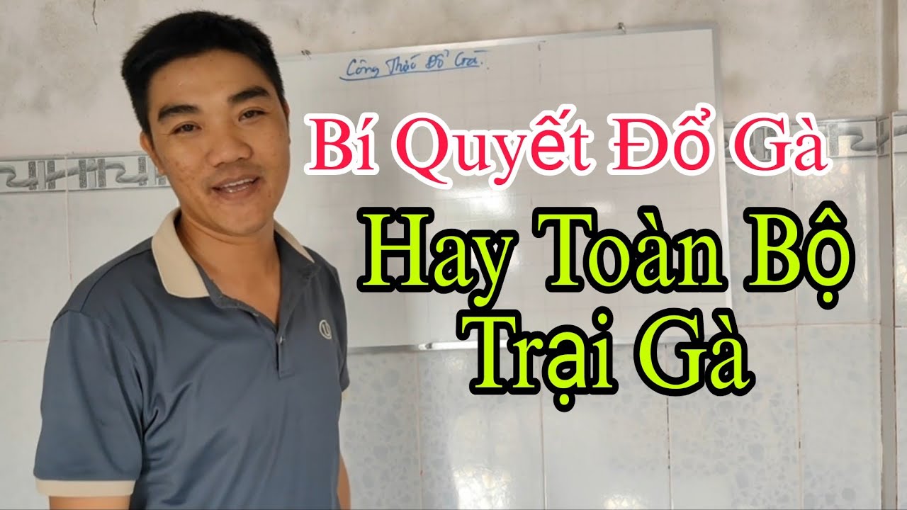 Thú Y Phương Luận| Công thức Đổ Gà Hay từ Đời Này Sang Đời Khác, 7 năm kinh nghiệm thực chiến