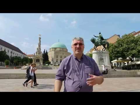 Video: Što je neformalno poslovno izvješće?