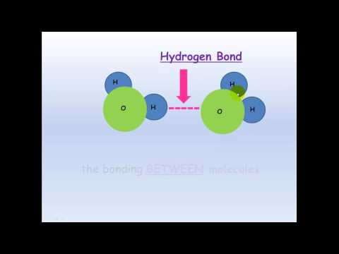 Intermolecular Bonding (2/3)