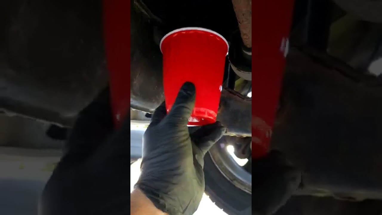 Solo Cup Oil Filter Change Tip Less Mess No Spills Unless you Drop it