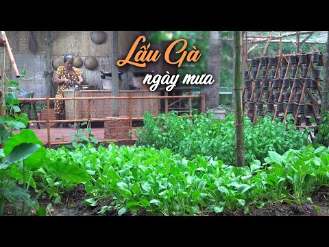 Xem video Cô Ba Miền Tây nấu ăn