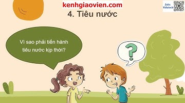 Giáo án powerpoint bài 3: Gieo trồng, chăm sóc, phòng...| GA điện tử công nghệ 7 kết nối tri thức