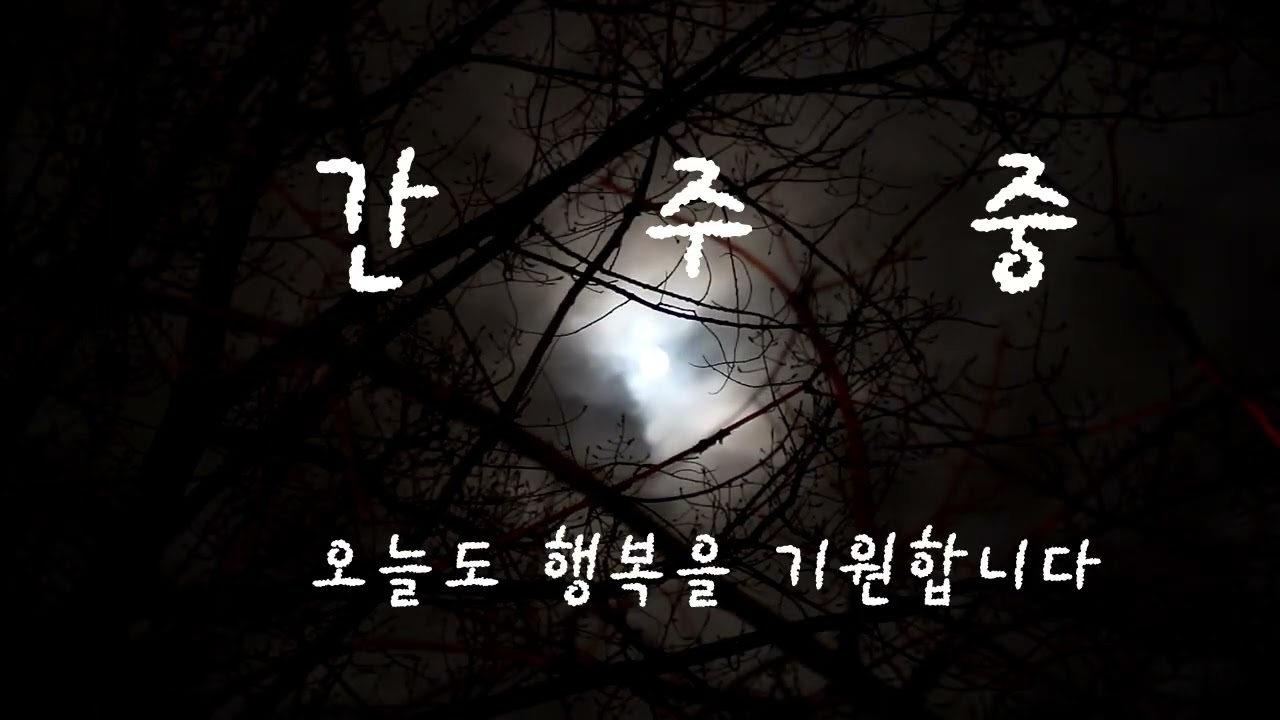 감나무골,나훈아 D테
