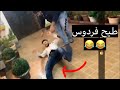 فهد العرادي لعبة البط ل بين علاء وفردوس شوفوا رفست علاء شسوت في فردوس طار 