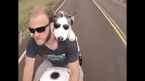 Cute dog riding on a motorcycle with his owner.