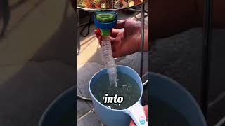 Recycle Fish Waste Into Plant Fertilizer,#animals #shorts