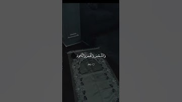 تلاوات خاشعة من القران الكريم #القرآن_الكريم #تلاوة_خاشعة