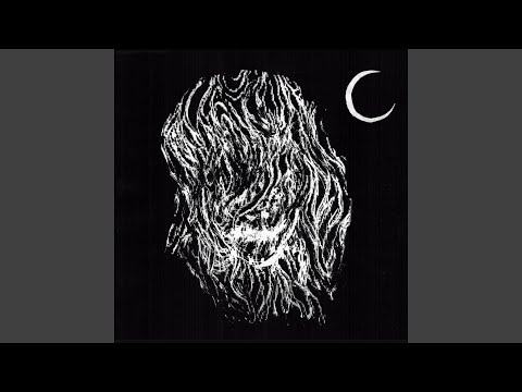 Wolf Eyes — Burn Your House Down