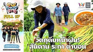 Handpicking Seasonal Greens from The Wild, Bo Rai District, Trat