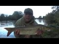 Fishing the flat method feeder on the River Wye