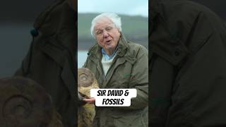 Just Sir David Attenborough Doing What He Loves Most.