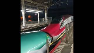 大宮に到着するE5系+E6系のやまびこ152号