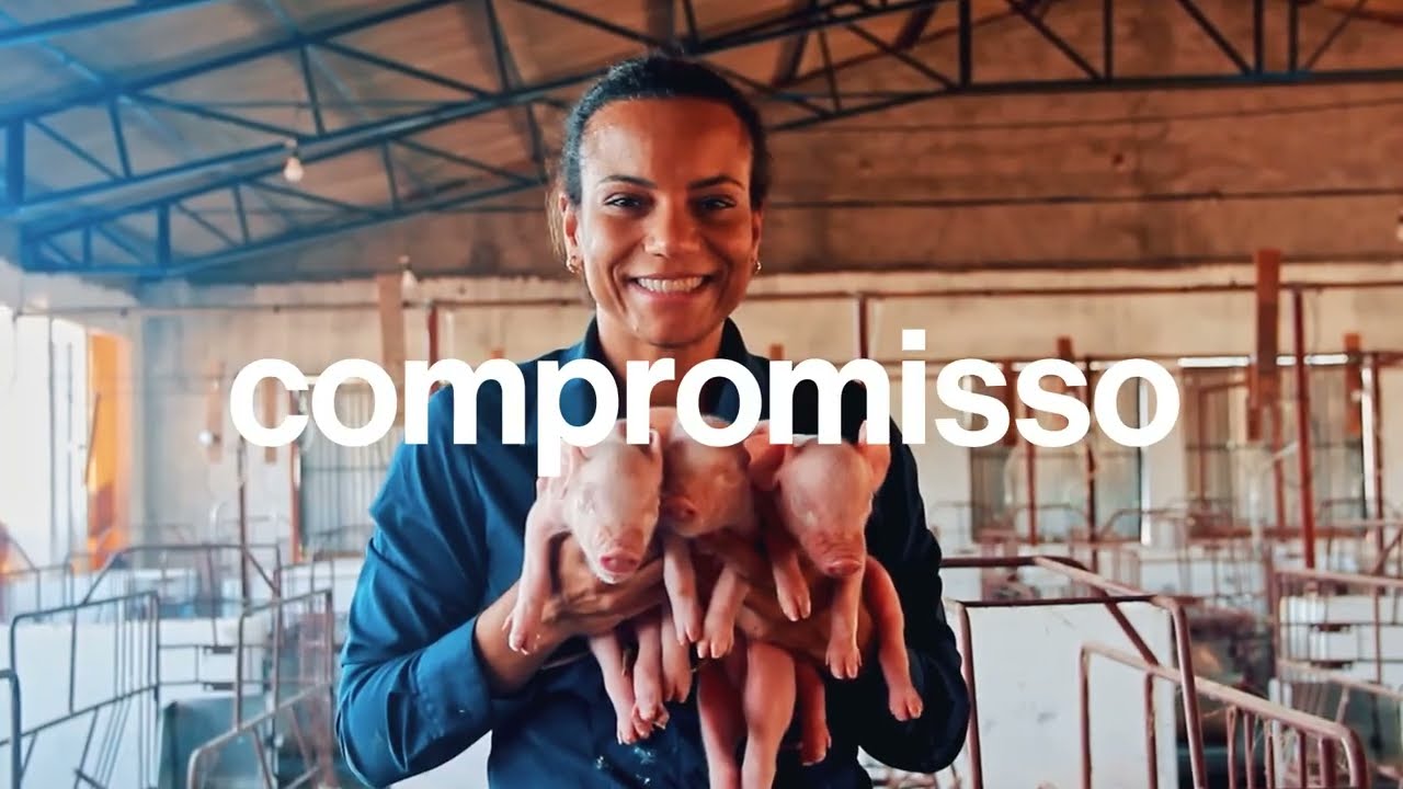 Vídeo Institucional - Vetanco Brasil