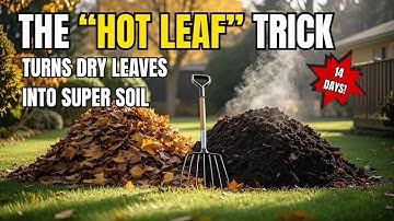 Turn Fall Leaves Into Super Soil in 14 Days – No Compost Pile Needed!