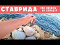 Ставрида. Проводка для ставриды. Ставрида как поймать. Рыбалка в Черном море. Как ловить ставриду.