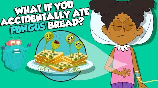 what if you ate moldy bread by accident? | types of fungi | the dr binocs show | peekaboo kidz