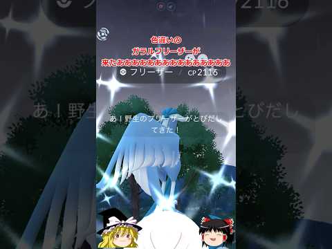 【ポケモンGO】7体目ゲット⁉️半年ぶりの色違いガラル３鳥チャレンジの結果は…？(ガラル 3鳥チャレンジ189回目)【ゆっくり実況】#shorts