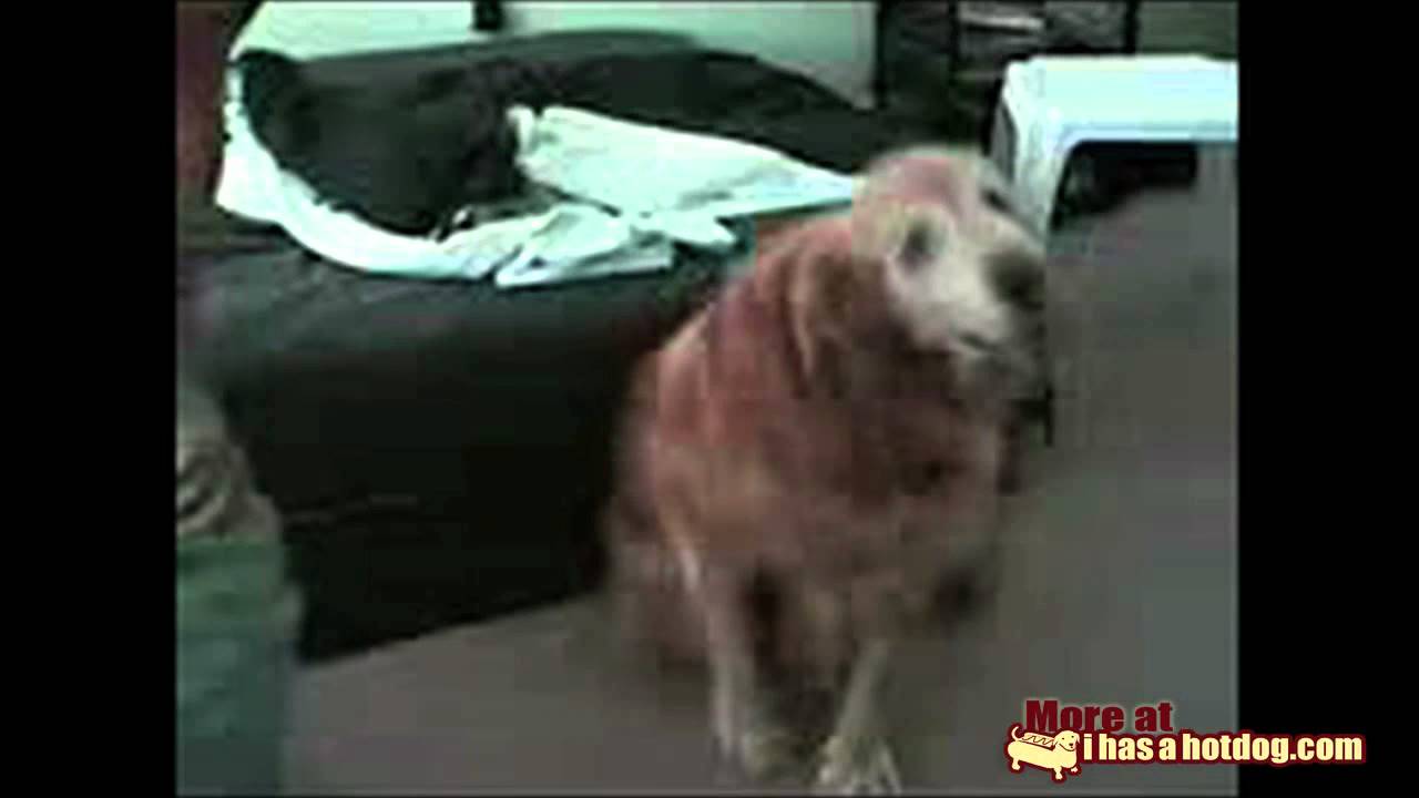 Bild från Chester's Humps