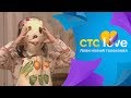 CTC Love 5 невест 