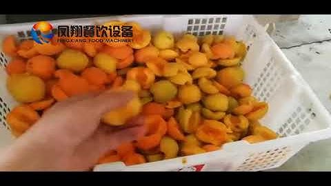 Apricot Pitting Machine, Apricot Stoner Machine (with half cutting function)