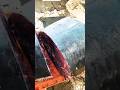 Unbelievable Giant Fish Cutting Skill 🔥 Wait For The Perfect Slice! 😳