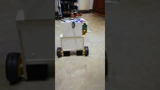 Self Balance Robot with raspberry pi zero w