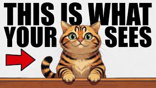 Your Cat Doesn't Think You're Human — Here's What You ACTUALLY Are
