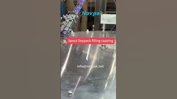 4 Heads Spout Doypack Filling Capping machine (speed: 4000 bags/hour)