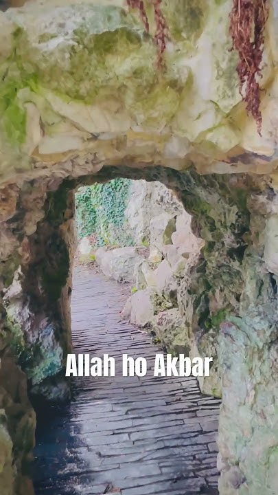 what-quran-say-youtube