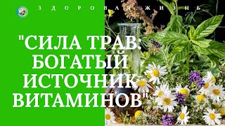 ЛЕКАРСТВЕННЫЕ ТРАВЫ:  ПРИРОДНЫЕ ИСТОЧНИКИ ЗДОРОВЬЯ И ДОЛГОЛЕТИЯ. ЗДОРОВАЯ ЖИЗНЬ.