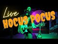 Focus  hocus pocus  live  electric guitar cover by mike markwitz