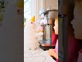 The Cat Gave Me Ice Cream Comedy Shorts Cats Comedy 