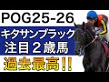 【POG/25−26】キタサンブラック産駒の注目２歳馬をリストアップ！【繁殖レベルが過去最高に‼️次シーズン向け】