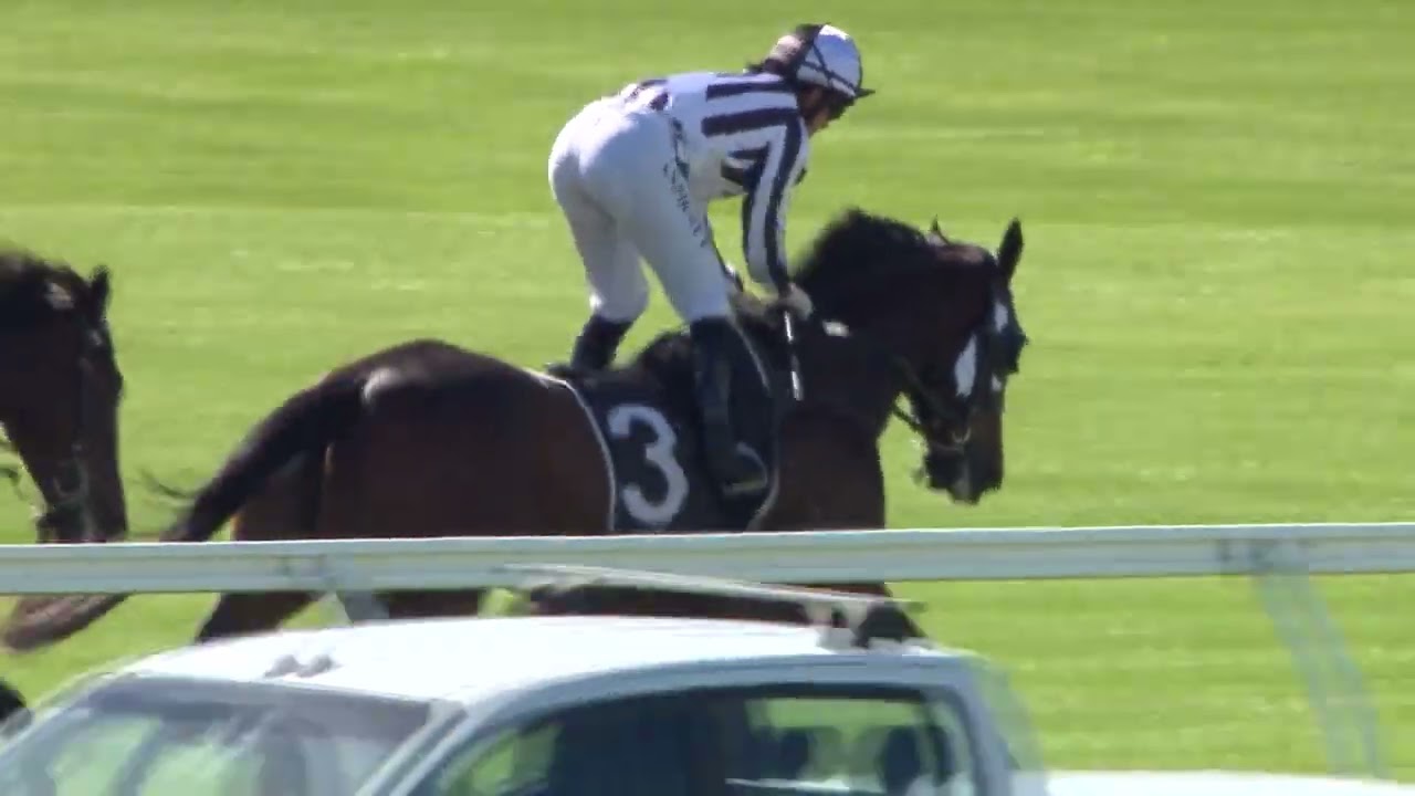 NZ Thoroughbred Breeders Stakes 2024 - BELCLARE (FM WFA G1) Group 1 Ellerslie 30 March