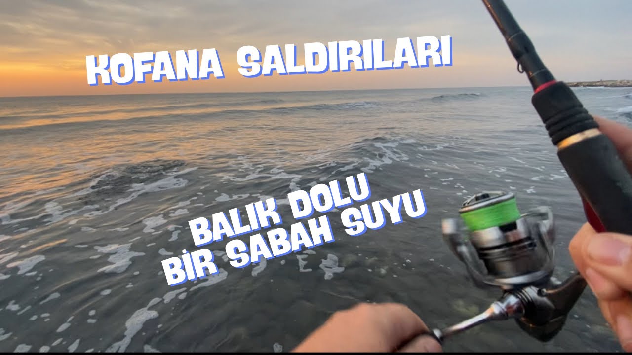 KOFANA Balıklarıma Saldırdı. 29.11.2025 tarihli Balık Dolu Bir Sabah Suyu. LRF Hanfish Bıdık 