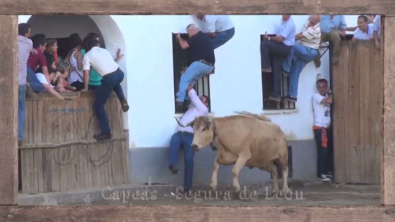 [MEJORES MOMENTOS] Capeas Segura de León 18-9-2013. Pedro Diaz - Manuel Rebollo - Angel M. Jaramillo
