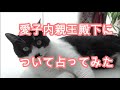 愛子内親王殿下について占ってみた