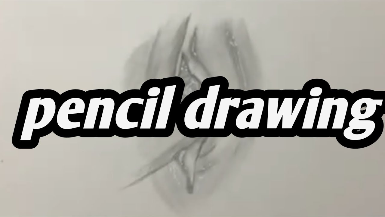 pencil drawing technique / drawing process / 4x speed drawing/ pencil ...