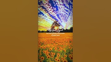 قراءه خاشعه من الشيخ ياسر الدوسري سوره الحجر #تلاوه